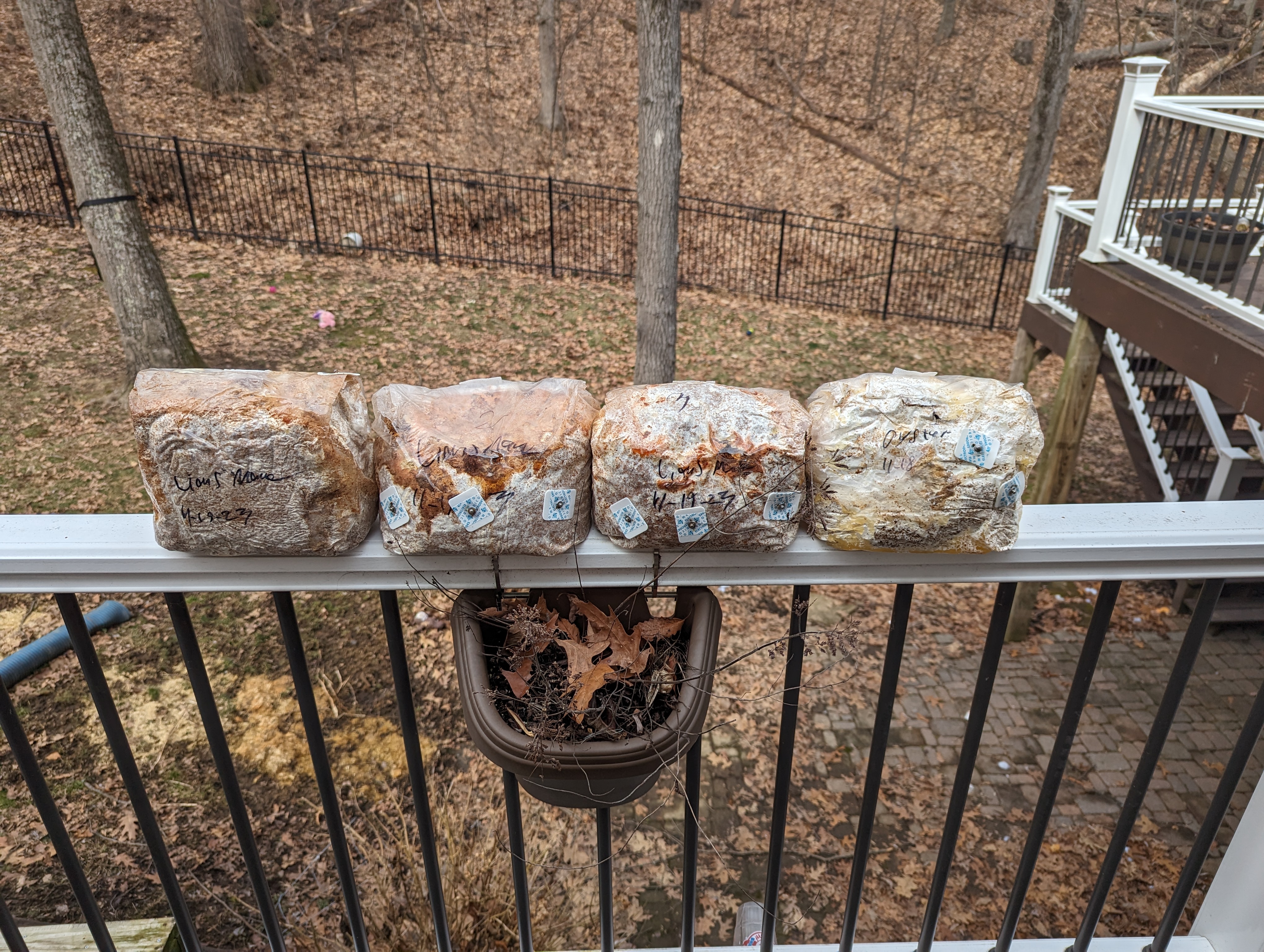 Retired mushroom blocks